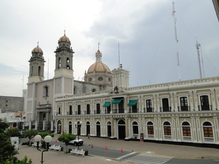 claves-lada-de-jalisco-encuentra-las-claves-lada-de-jalisco-aqu